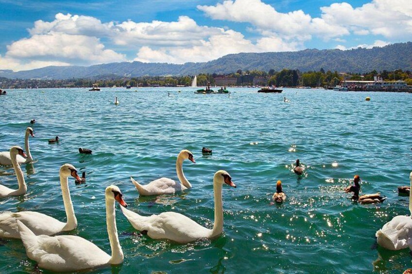 Zurich Scavenger Hunt & Highlights Self-Guided Walking Tour 4