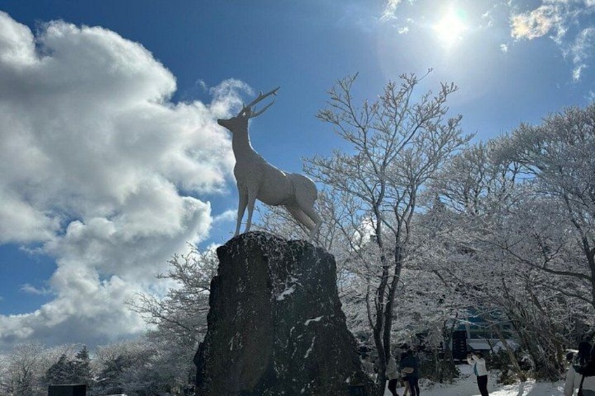 Jeju Western and Southern Routes Sightseeing Day Tour 3