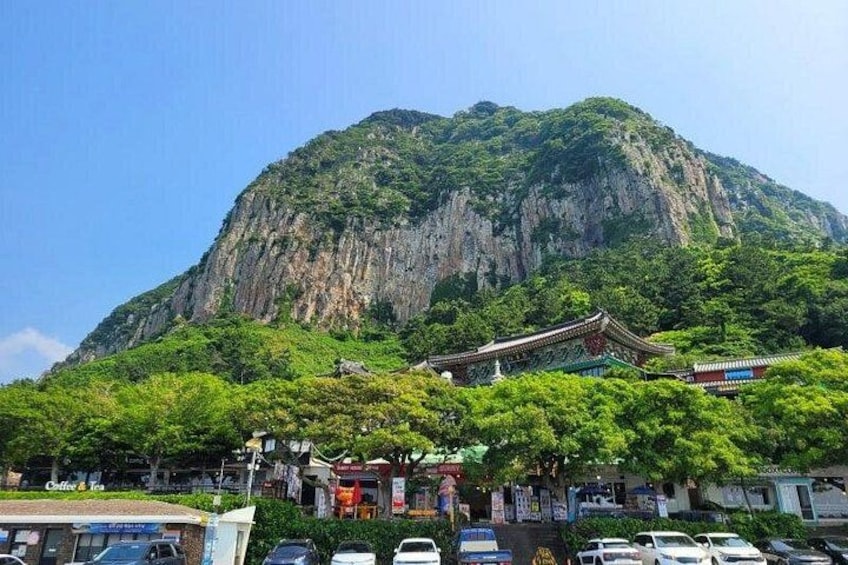 Jeju Western and Southern Routes Sightseeing Day Tour 3