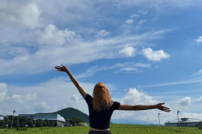 Jeju Western and Southern Routes Sightseeing Day Tour 4