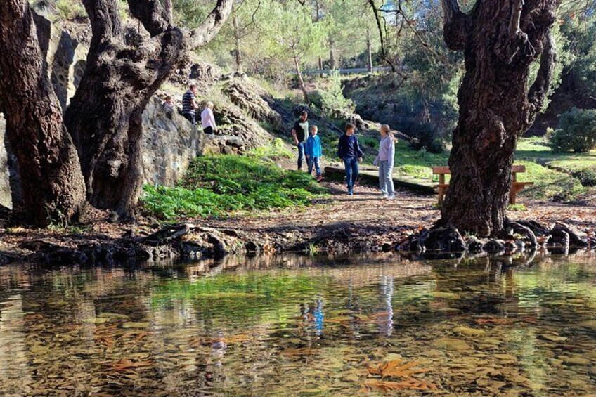 Cyprus: Mt. Olympus, Troodos Mountains, Monasteries from Paphos 2