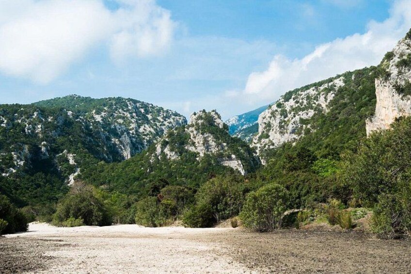 Een bergachtig landschap met weelderige begroeiing en rotsachtige kliffen. 5