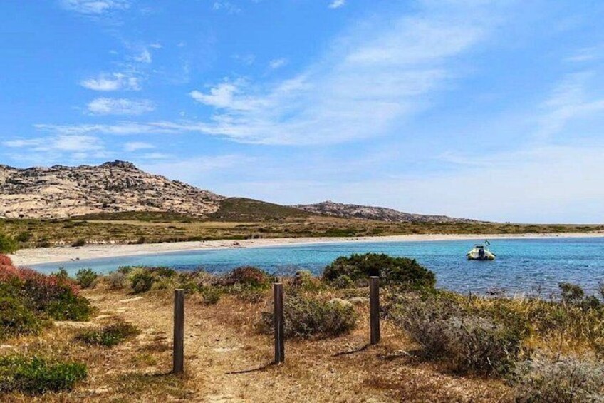 From Stintino: 3.5-hour dinghy tour in Asinara Park with aperitif 5