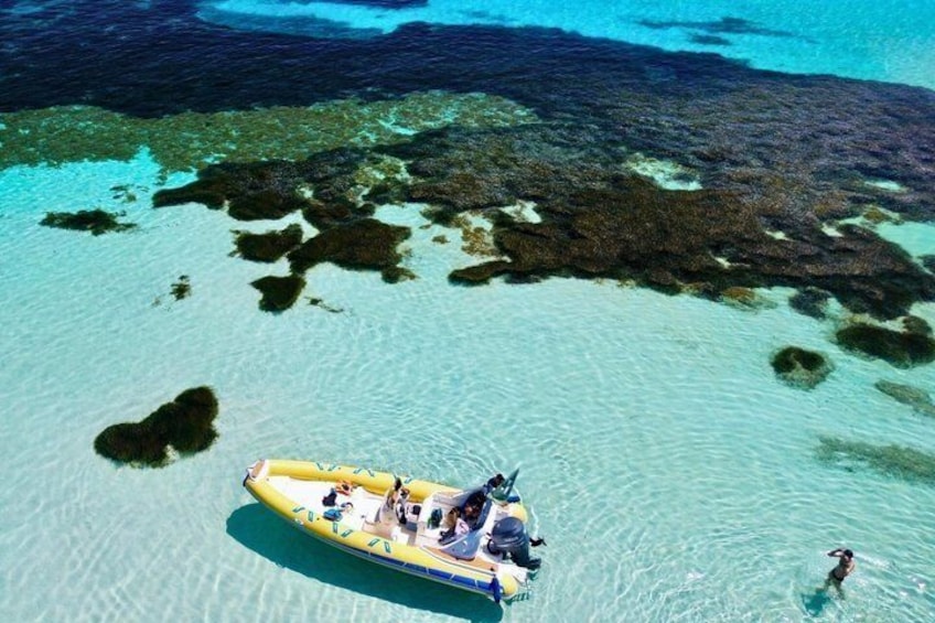 From Stintino: half-day dinghy tour to Asinara with aperitif 2