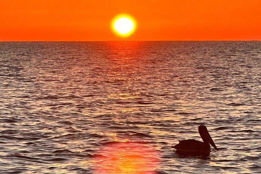 Un atardecer sobre el océano con la silueta de una persona en el agua. 1