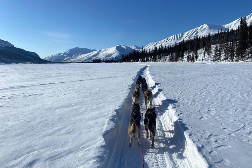 6 Days Brooks Range Expedition Private Tour 3