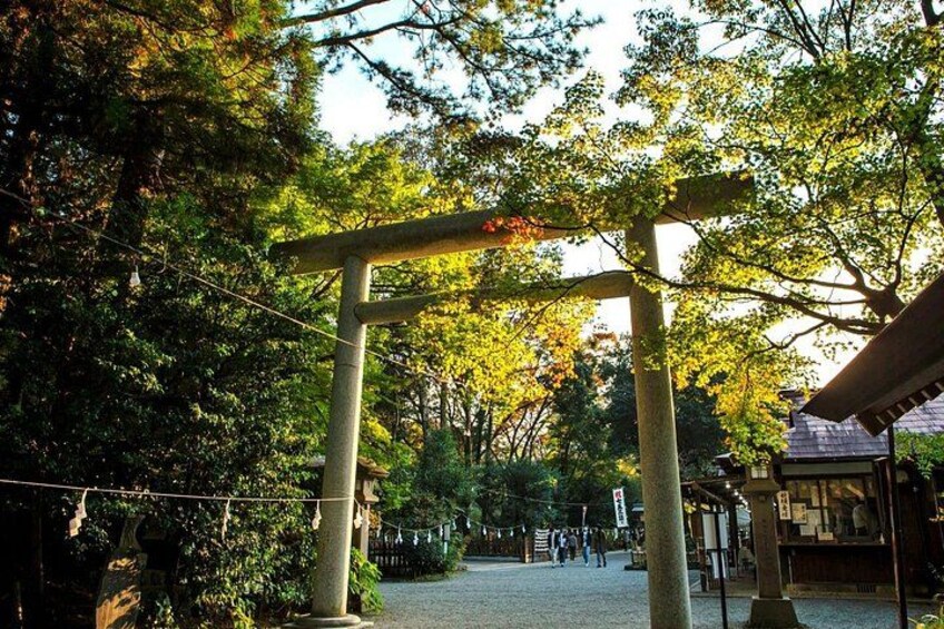 A traditional Japanese torii gate in a forested area with a pathway leading through it. 5