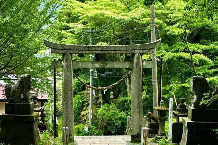 A traditional Japanese torii gate surrounded by lush greenery and stone lanterns. 4