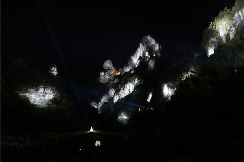 Fox Fairy Show VIP ticket with round trip private transport 2