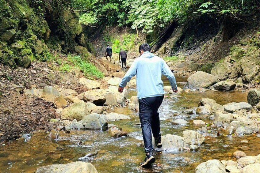 Full Rainforest Experience: Kayaks, Waterfall and Embera village 4