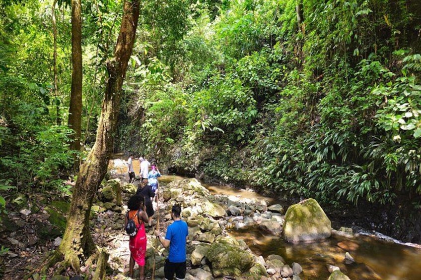 A group of people hiking along a rocky stream in a dense forest. 5