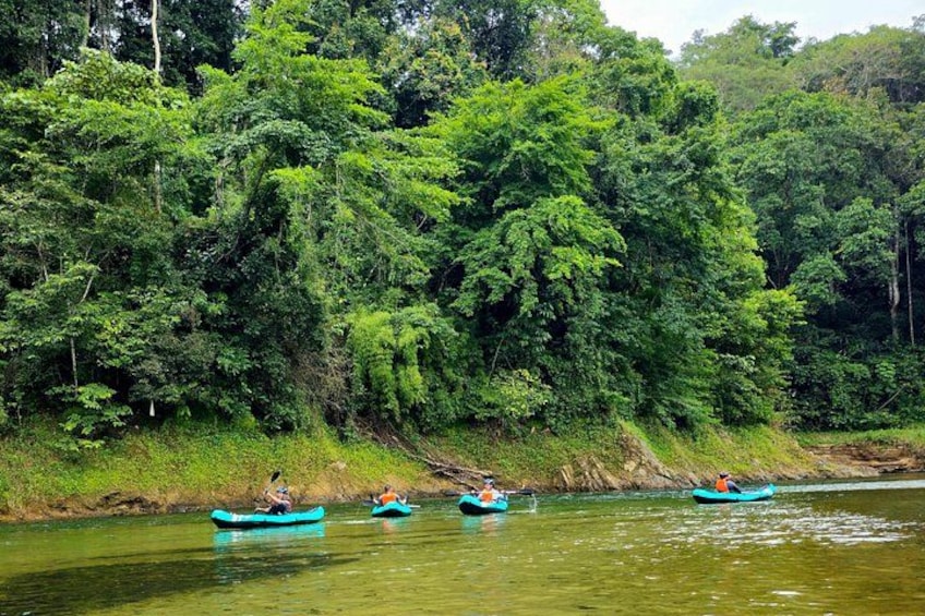 A river with three blue boats, dense green forest, and a calm water surface. 4