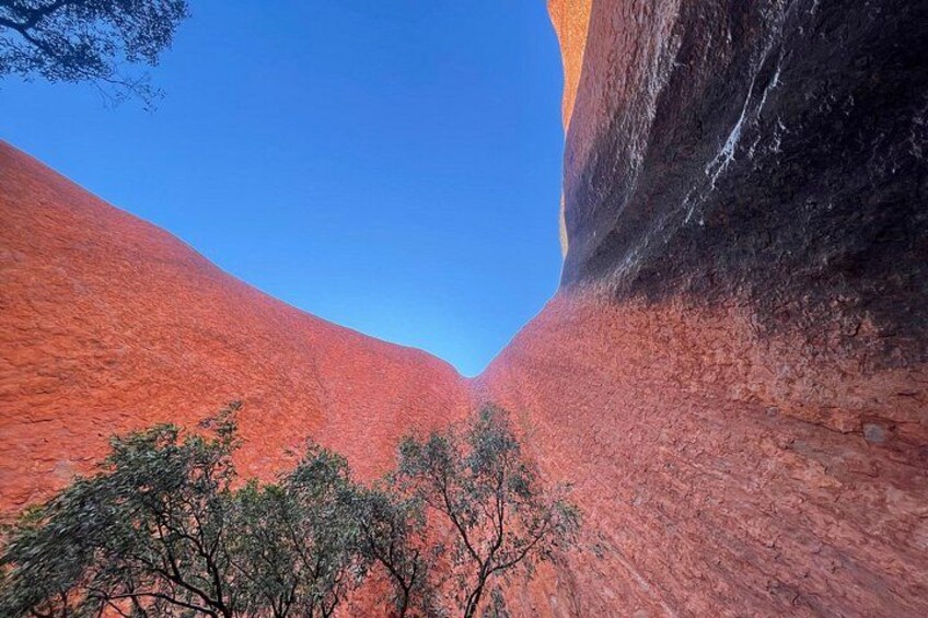Waterholes and Highlights of Uluru 2