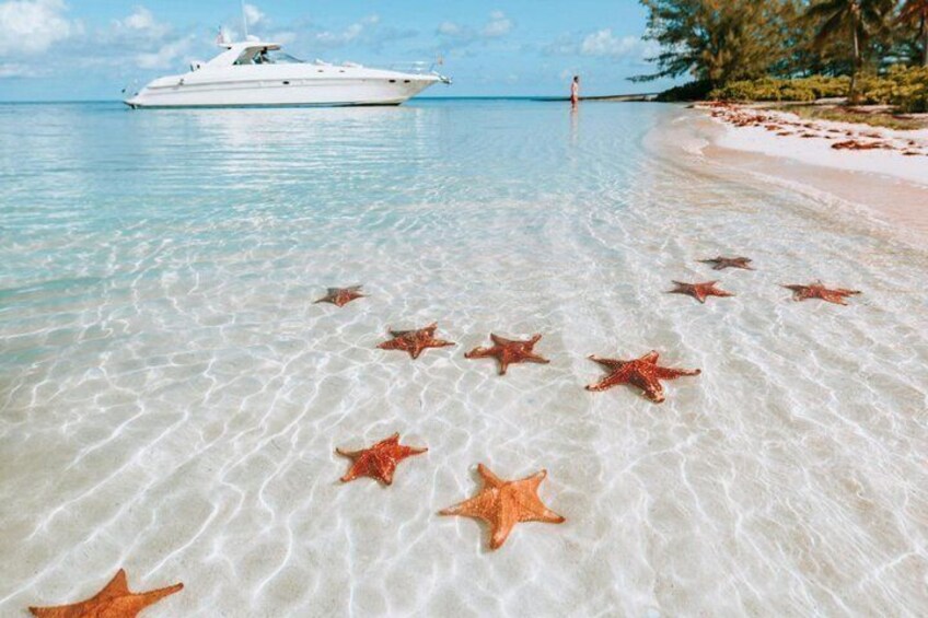 Cayman Combo Tour: Stingrays, Starfish Point and Crystal Caves 2