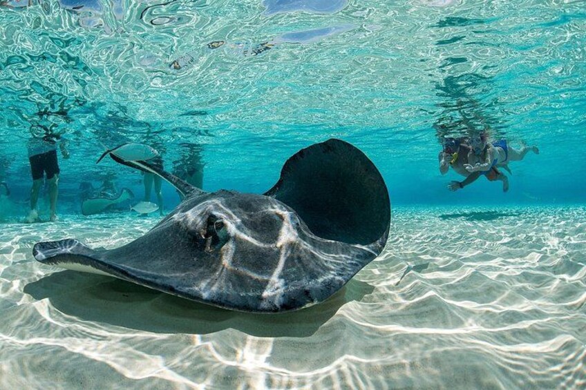 Cayman Combo Tour: Stingrays, Starfish Point and Crystal Caves 2