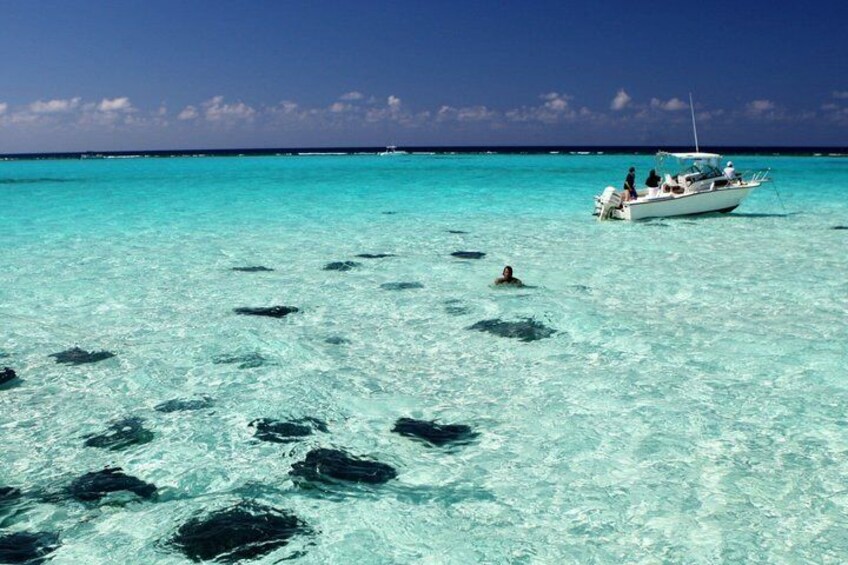 Cayman Combo Tour: Stingrays, Starfish Point and Crystal Caves 4