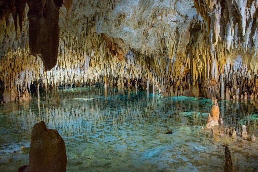 Cayman Combo Tour: Stingrays, Starfish Point and Crystal Caves 5