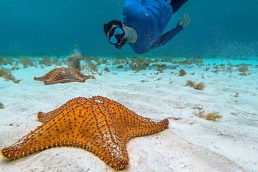 Cayman Combo Tour: Stingrays, Starfish Point and Crystal Caves 3