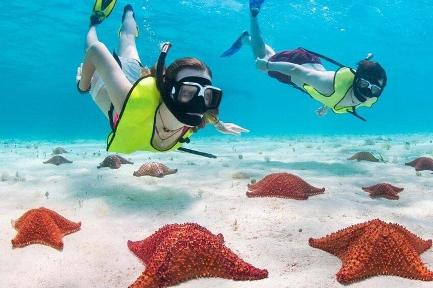 Cayman Combo Tour: Stingrays, Starfish Point and Crystal Caves 3