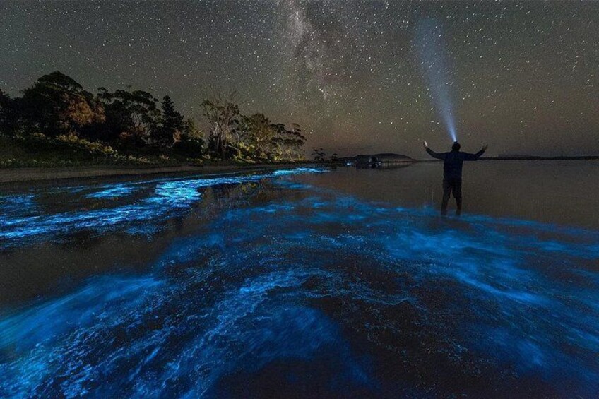 Grand Cayman Bioluminescent Bay Adventure 1