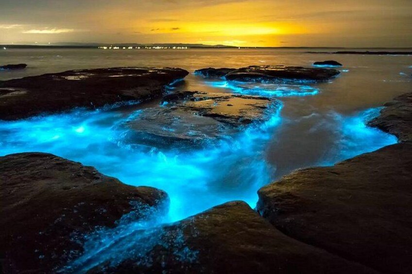 Grand Cayman Bioluminescent Bay Adventure 2