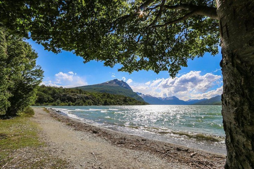 A river, a mountain, and a tree. 1