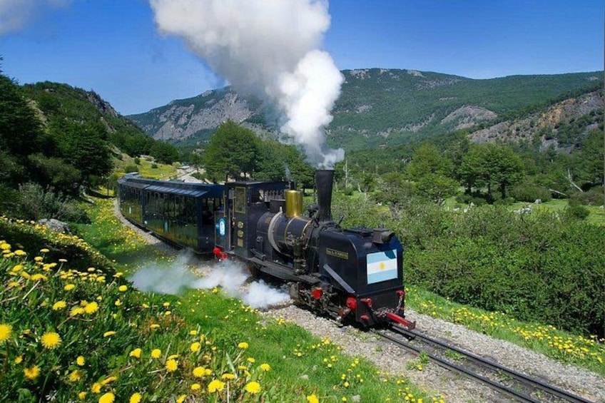 A steam locomotive train traveling on a track surrounded by lush greenery and yellow flowers. 2