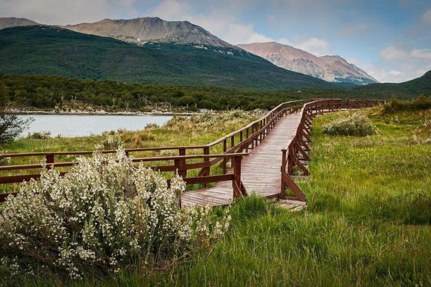 A wooden boardwalk leading to a lake with mountains in the background. 3