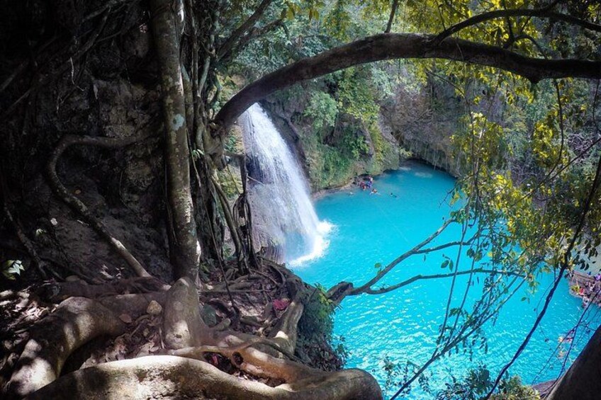 Kawasan Falls Canyoneering Tour from Moalboal 2