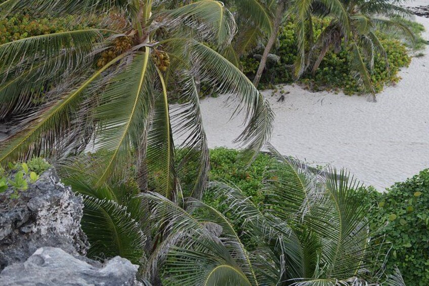 East Coast Private Tour of Barbados 3