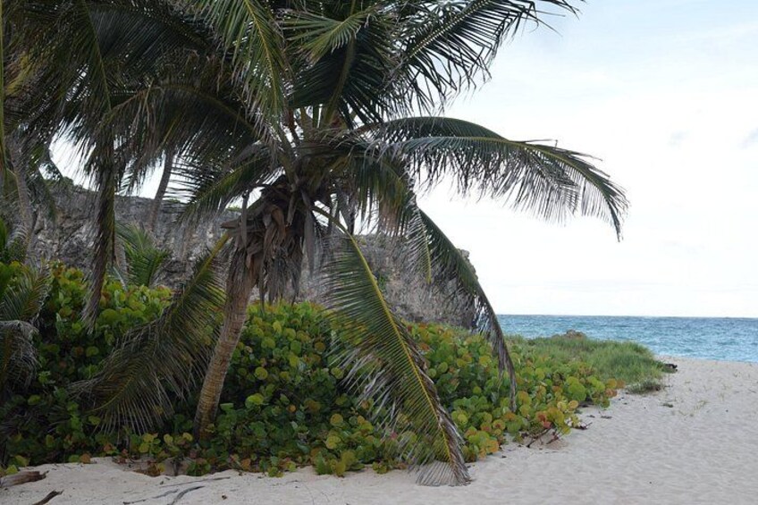 East Coast Private Tour of Barbados 5