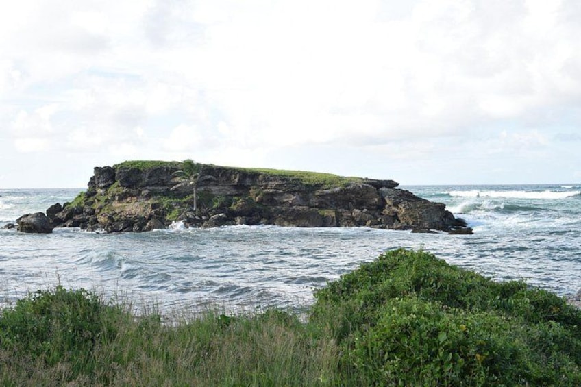 East Coast Private Tour of Barbados 1