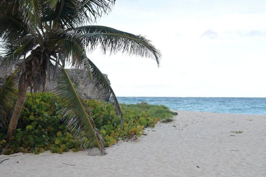 East Coast Private Tour of Barbados 4
