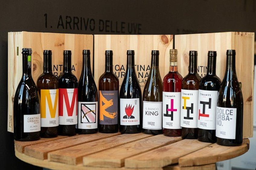 Our wines 4