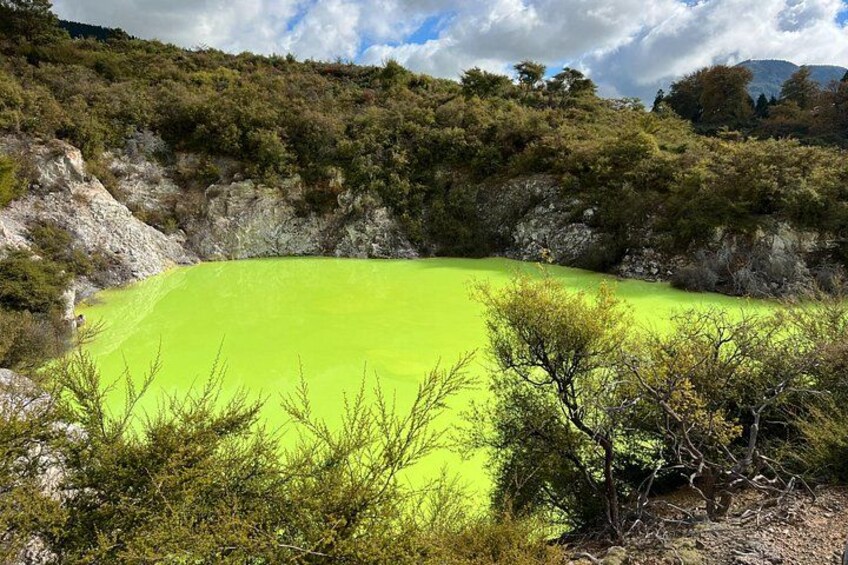 TRIPLE DEAL Wai-O-Tapu, Redwood Forest & Blue Springs Ex Auckland 2