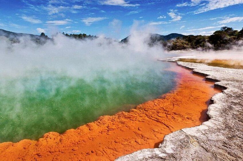 TRIPLE DEAL Wai-O-Tapu, Redwood Forest & Blue Springs Ex Auckland 1