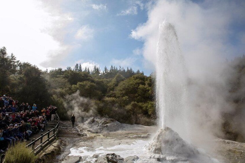 Lady Knox Geyser Presentation 4