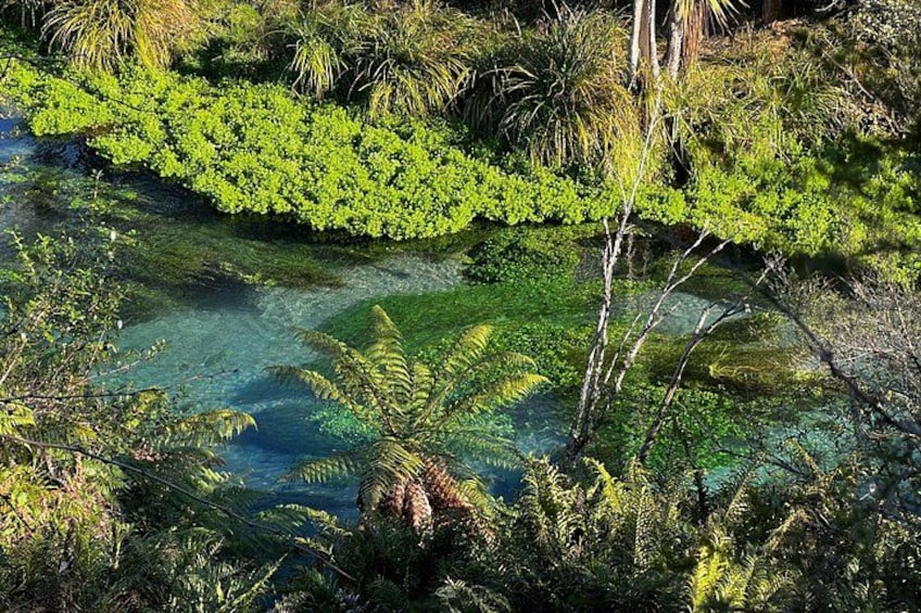 Blue Springs 3