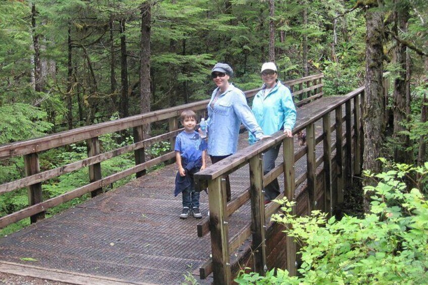 Rainforest Trail 5