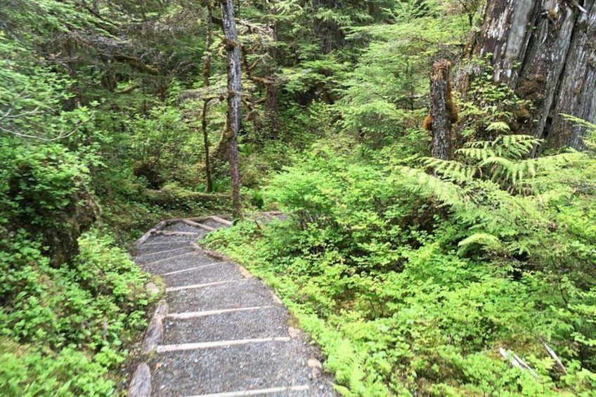 Nature Trail 1