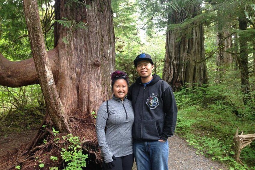Old Growth Trees Along Nature Hike 5