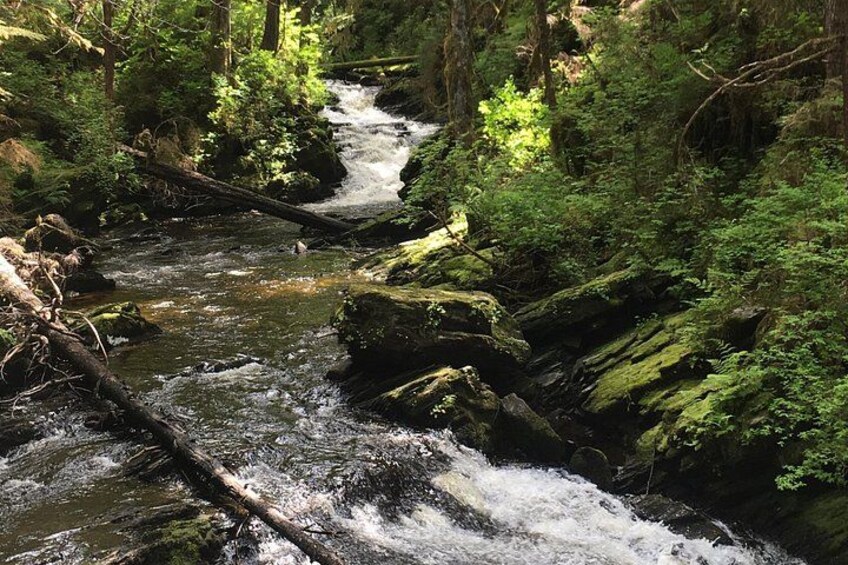 Cascading Creek 3