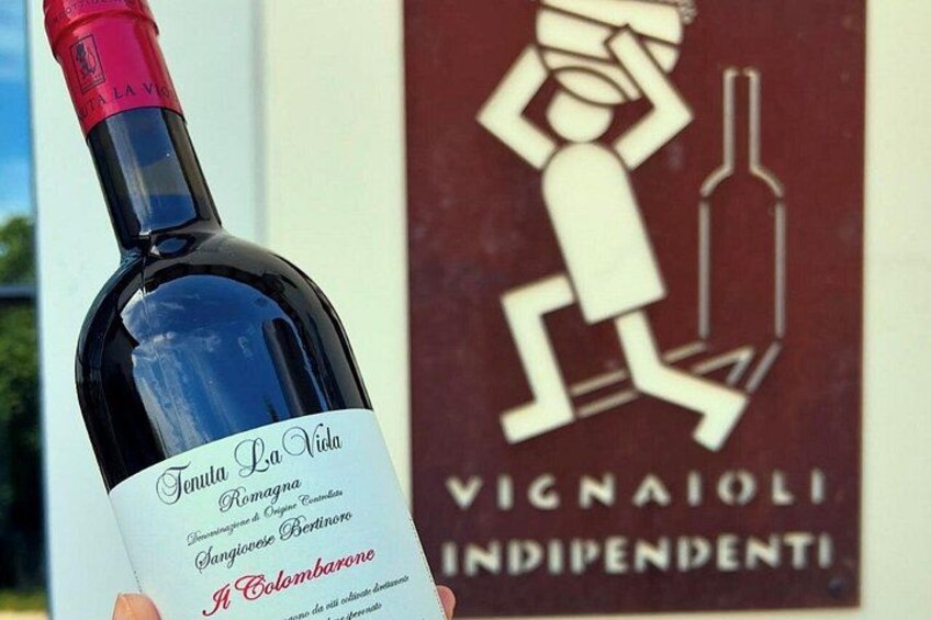 wine bottle 1