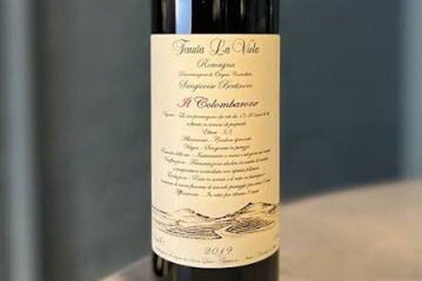 Discover Italian Wines at Tenuta La Viola 2