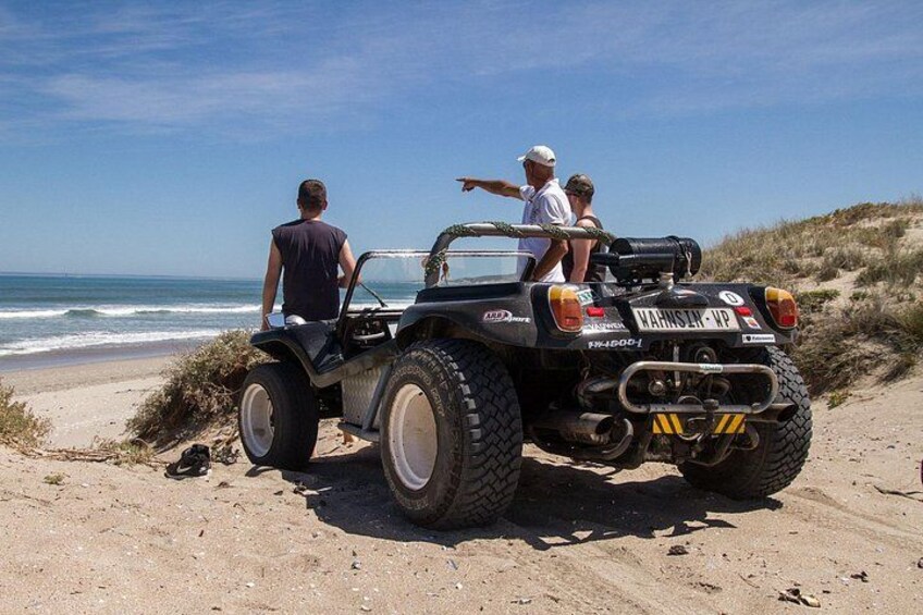 3 Day West Coast Safari & Adventure in Paternoster from Cape Town 2