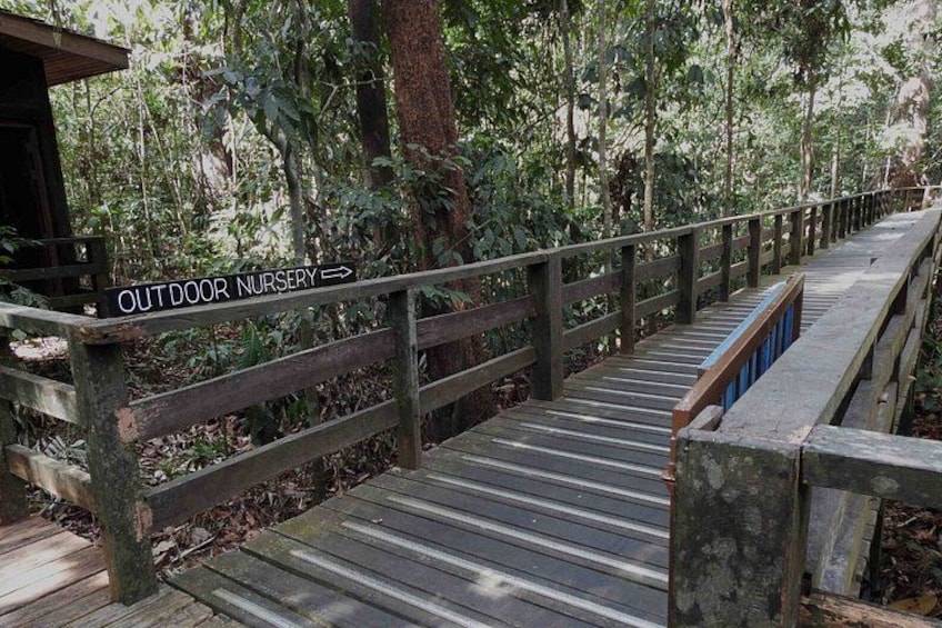 A wooden bridge with a sign indicating an outdoor nursery. 5