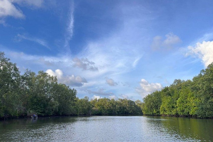 A calm river surrounded by dense green foliage under a partly cloudy sky. 2
