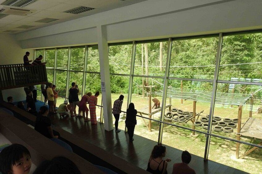A group of people observing animals through large windows in a zoo enclosure. 4