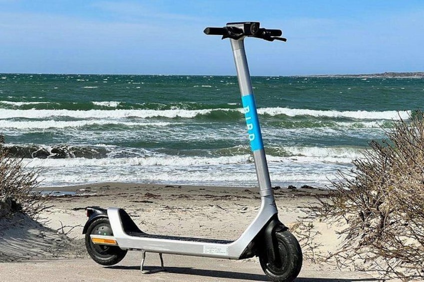 Una patineta estacionada en una playa con el océano al fondo. 2