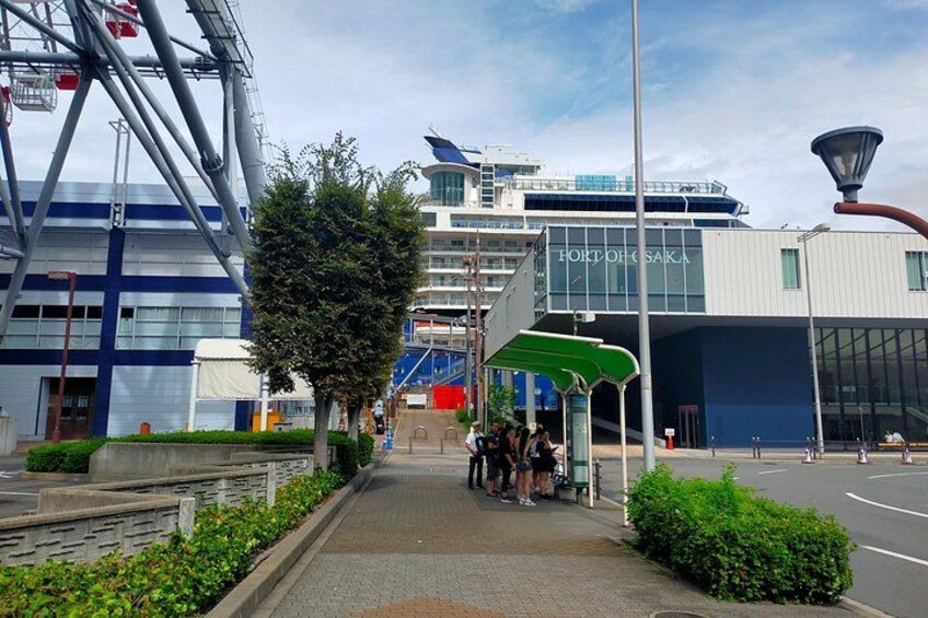4/5/6 Hours Private Osaka Tour Designed for Cruise Passengers 1